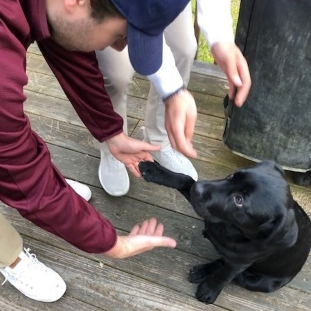 Meet your Posher, Lynn